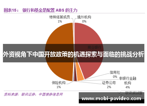 外资视角下中国开放政策的机遇探索与面临的挑战分析