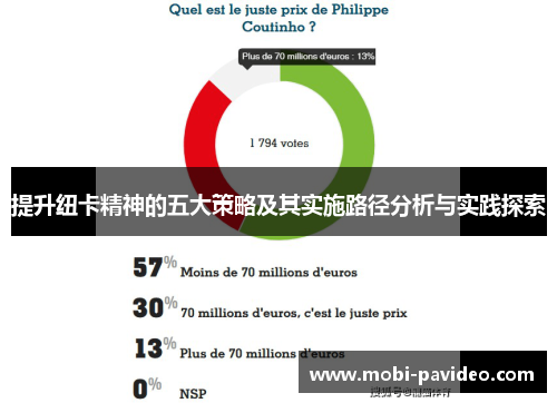 提升纽卡精神的五大策略及其实施路径分析与实践探索