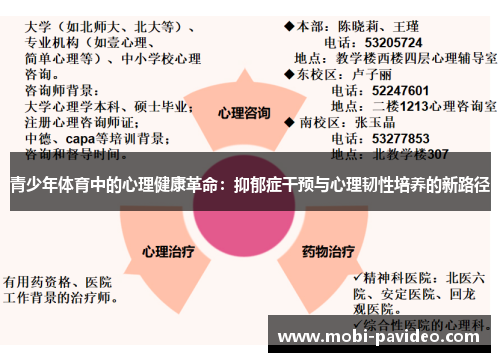 青少年体育中的心理健康革命：抑郁症干预与心理韧性培养的新路径