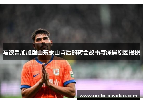 马德鲁加加盟山东泰山背后的转会故事与深层原因揭秘 马德鲁加加盟山东泰山背后的转会故事与深层原因揭秘