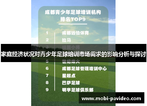 家庭经济状况对青少年足球培训市场需求的影响分析与探讨