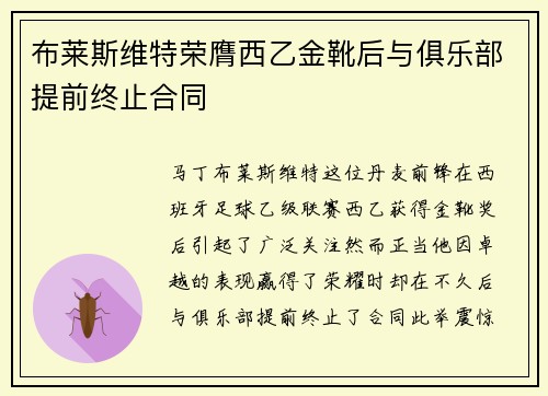 布莱斯维特荣膺西乙金靴后与俱乐部提前终止合同
