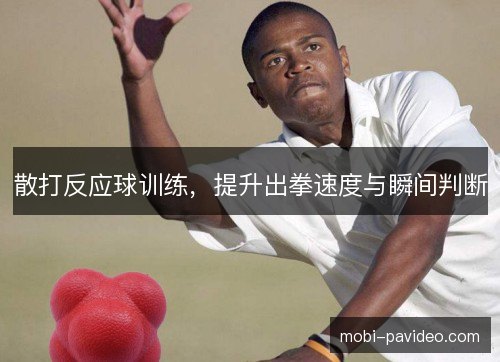 散打反应球训练,提升出拳速度与瞬间判断 散打反应球训练,提升出拳速度与瞬间判断